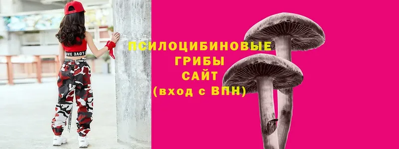 Галлюциногенные грибы Cubensis  как найти закладки  Тольятти 